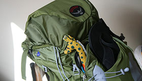 Osprey Kestrel Backpack